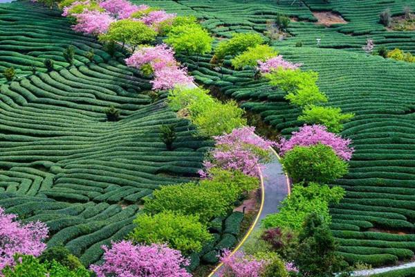 七月去瑞典旅游需要带什么东西