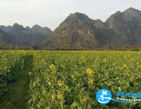 夏天离开青岛去西溪湿地西区要多少钱？贵吗？