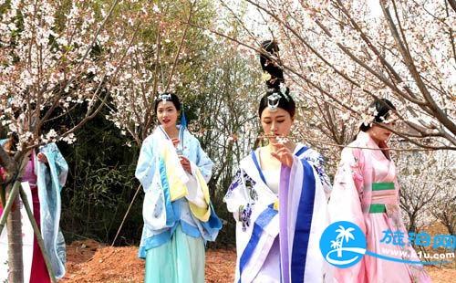 11月和12月青岛到松花江的航班多吗？怎么玩？