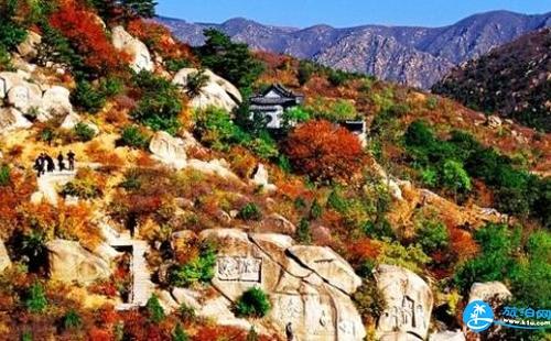 一月去普陀山旅游必备物品_一月去普陀山旅游需要带什么_一月去普陀山旅游需要准备什么？