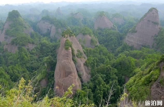 红色旅游扶贫培训班在山东临沂举办