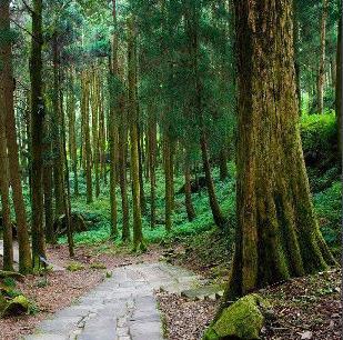 宣城至黄山旅游指南_行程_景点推荐