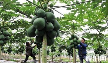 十一长假桐庐四日游暨国庆桐庐自助游旅游指南