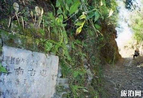 宏村去公路旅行攻略？地址？如何到达