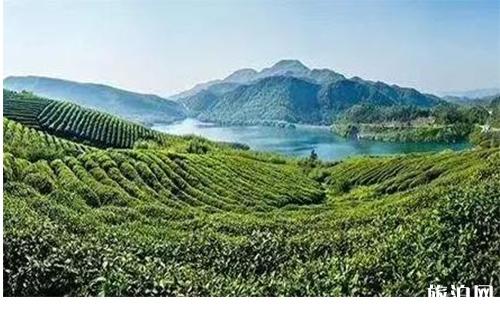 楚雄中秋穿衣指南_楚雄中秋天气_楚雄中秋推荐