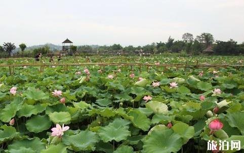 云南:强化旅游外交 推进全球旅游 彰显云南特色 注重交易实效