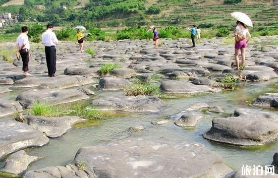 中缅柚品鉴交流节助力跨境农业旅游合作