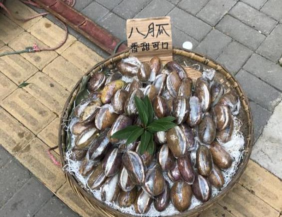 河北:省旅游委成立督导组 对汛期旅游安全进行检查指导