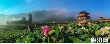 黔西南至云南旅游指南_行程表_景点推荐