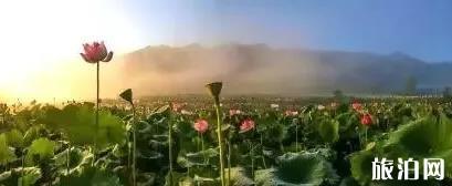 黔西南至西双版纳旅游攻略_行程_景点推荐