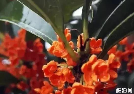 喀什儿童景点_喀什儿童景点_喀什儿童景点