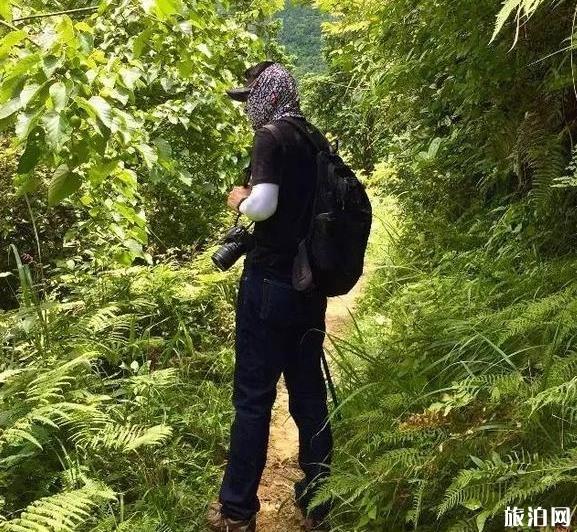 宜宾适合徒步的地方_宜宾适合徒步的路线_宜宾适合徒步的景点