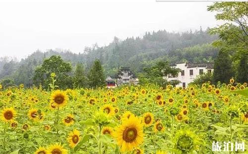 凉山至芽庄旅游策略_行程_景点推荐