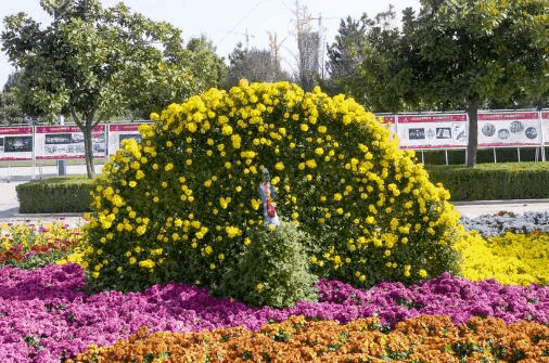 南昌到普者黑走公路旅行路线_行程_景点推荐