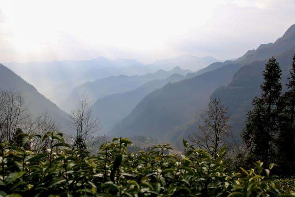 苏州到仙都走公路旅行路线_行程表_景点推荐
