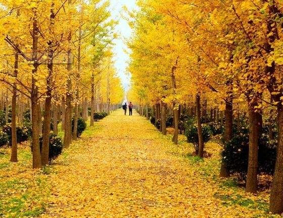 国庆节去淮安怎么样_国庆节去淮安怎么样_国庆节去淮安好玩吗？