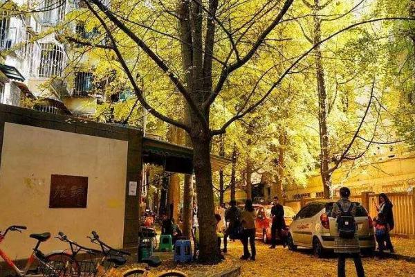 溧阳住宿攻略_一晚多少钱_酒店推荐