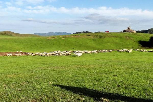 冬天去岳阳楼必备物品_冬天去岳阳楼需要带什么东西_冬天去岳阳楼旅行准备什么？