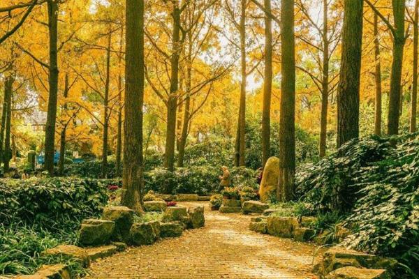 周口是2岁宝宝玩耍的地方_周口是2岁宝宝玩耍的地方_宝宝玩耍的地方