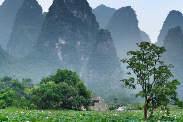 濮阳春季穿衣指南_濮阳春季穿什么衣服_濮阳春季天气温度
