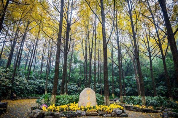 国庆去平顶山旅游必备物品？你带了什么？