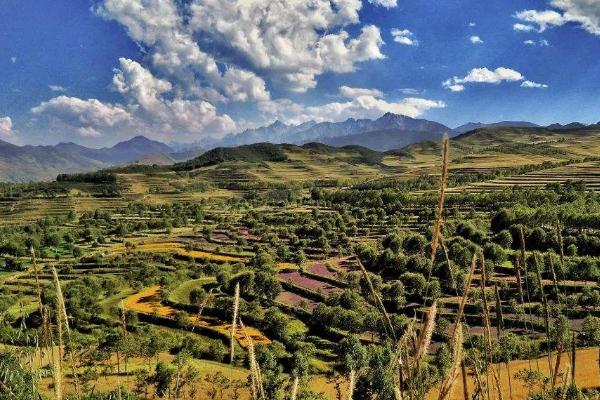 郑州至坦佩雷旅游指南_行程表_景点推荐