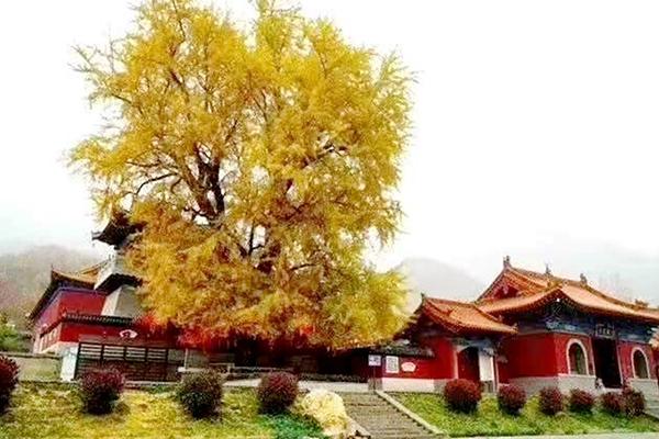 齐齐哈尔适合聚会的地方_齐齐哈尔适合聚会的餐厅_齐齐哈尔适合聚会的地方
